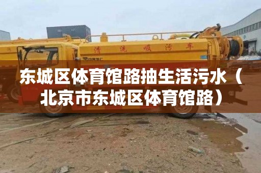 东城区体育馆路抽生活污水（北京市东城区体育馆路）