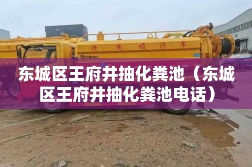 东城区王府井抽化粪池（东城区王府井抽化粪池电话）