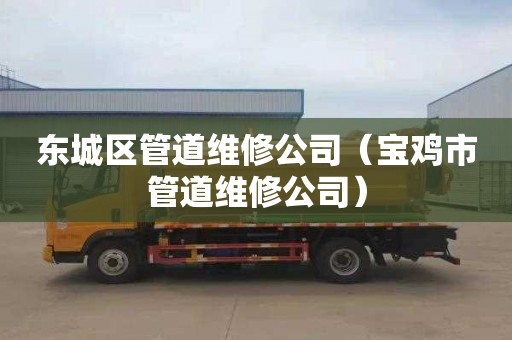 东城区管道维修公司（宝鸡市管道维修公司）