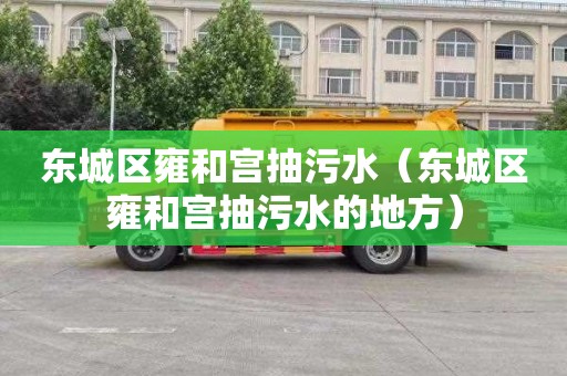 东城区雍和宫抽污水（东城区雍和宫抽污水的地方）