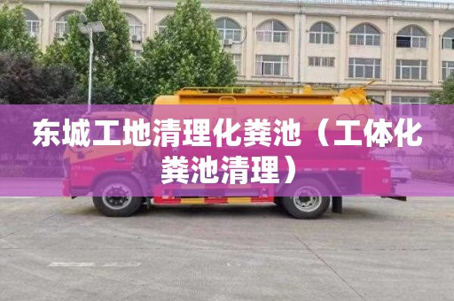 东城工地清理化粪池（工体化粪池清理）