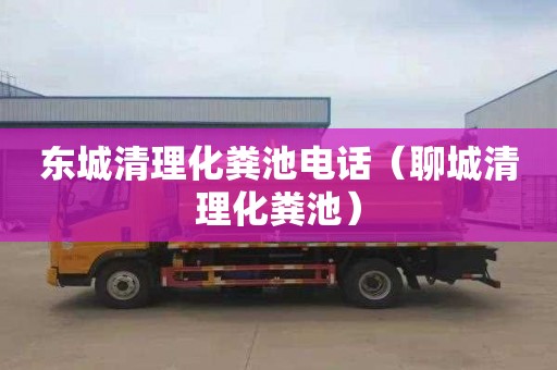 东城清理化粪池电话（聊城清理化粪池）