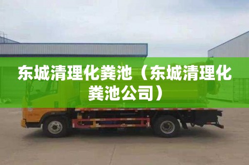 东城清理化粪池（东城清理化粪池公司）