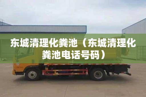 东城清理化粪池（东城清理化粪池电话号码）