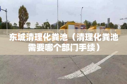 东城清理化粪池（清理化粪池需要哪个部门手续）