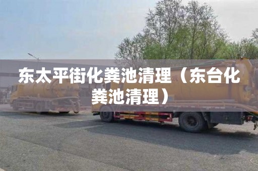 东太平街化粪池清理（东台化粪池清理）