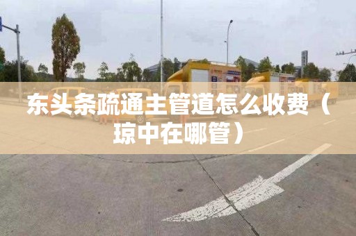 东头条疏通主管道怎么收费（琼中在哪管）