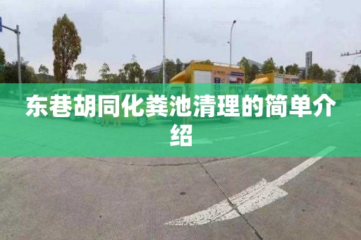 东巷胡同化粪池清理的简单介绍