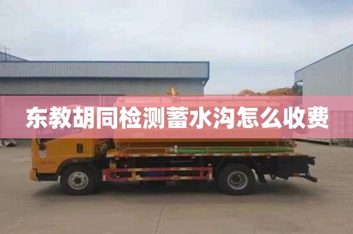 东教胡同检测蓄水沟怎么收费
