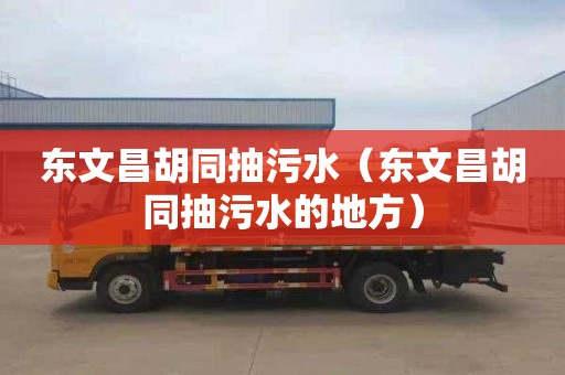 东文昌胡同抽污水（东文昌胡同抽污水的地方）