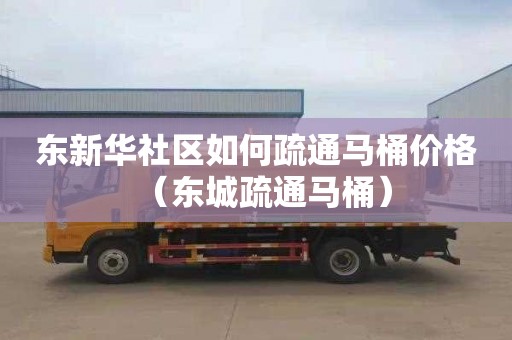 东新华社区如何疏通马桶价格（东城疏通马桶）