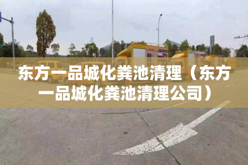 东方一品城化粪池清理（东方一品城化粪池清理公司）