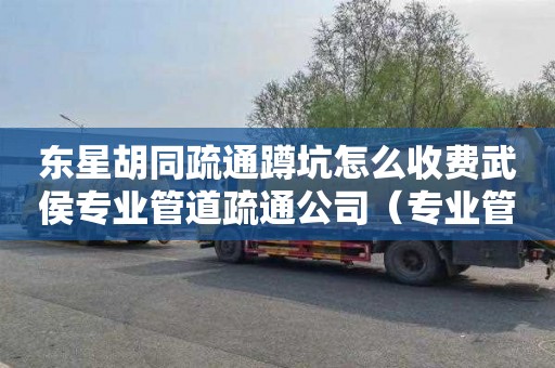 东星胡同疏通蹲坑怎么收费武侯专业管道疏通公司（专业管道疏通公司电话是多少）