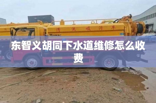 东智义胡同下水道维修怎么收费