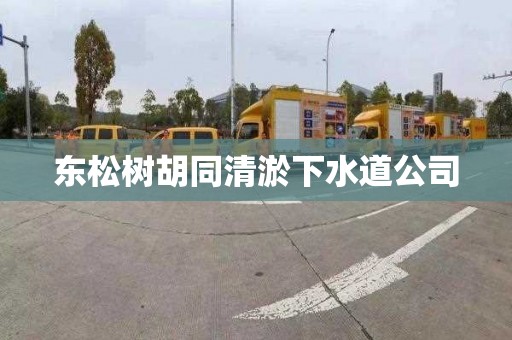 东松树胡同清淤下水道公司
