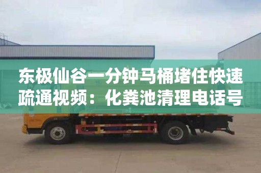 东极仙谷一分钟马桶堵住快速疏通视频：化粪池清理电话号码