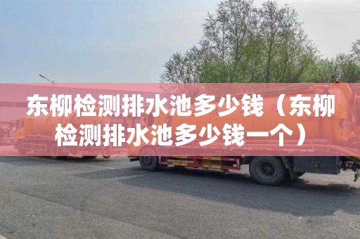 东柳检测排水池多少钱（东柳检测排水池多少钱一个）
