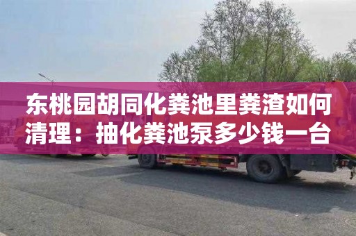 东桃园胡同化粪池里粪渣如何清理：抽化粪池泵多少钱一台
