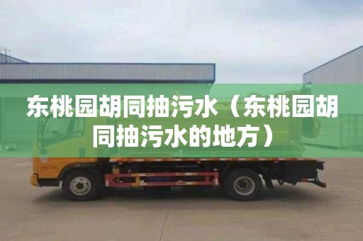 东桃园胡同抽污水（东桃园胡同抽污水的地方）