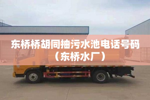 东桥桥胡同抽污水池电话号码（东桥水厂）