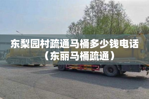 东梨园村疏通马桶多少钱电话（东丽马桶疏通）