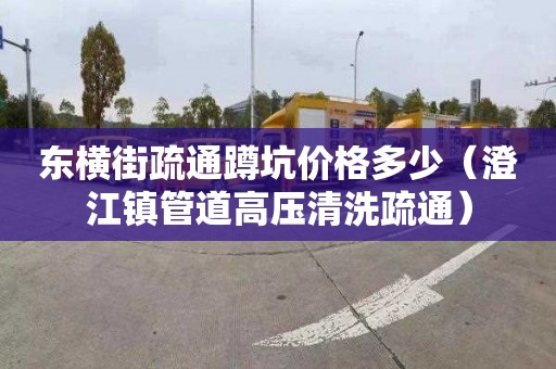 东横街疏通蹲坑价格多少（澄江镇管道高压清洗疏通）