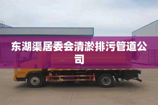 东湖渠居委会清淤排污管道公司