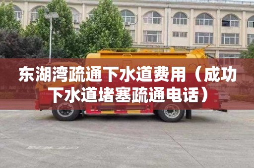 东湖湾疏通下水道费用（成功下水道堵塞疏通电话）