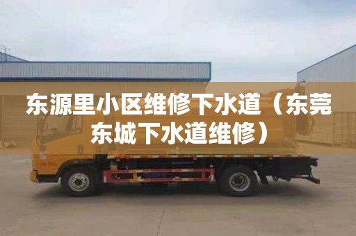 东源里小区维修下水道（东莞东城下水道维修）