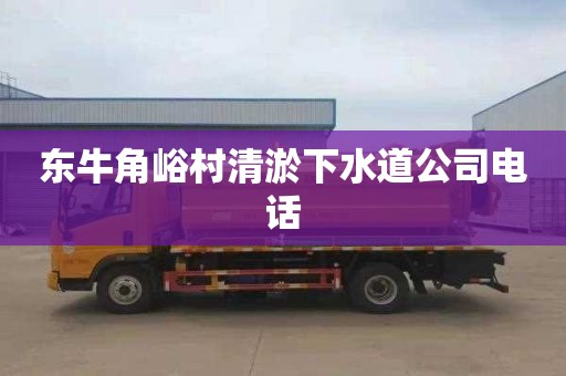 东牛角峪村清淤下水道公司电话