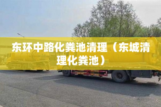 东环中路化粪池清理（东城清理化粪池）