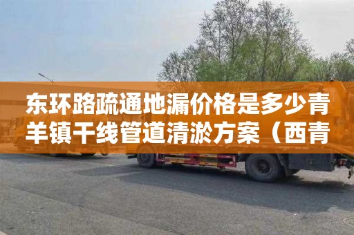 东环路疏通地漏价格是多少青羊镇干线管道清淤方案（西青区管道清淤）