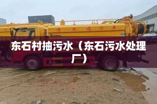 东石村抽污水（东石污水处理厂）