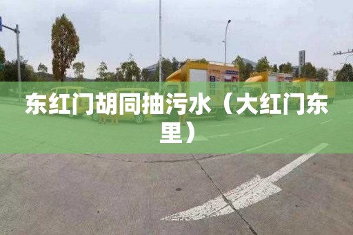 东红门胡同抽污水（大红门东里）