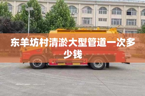 东羊坊村清淤大型管道一次多少钱