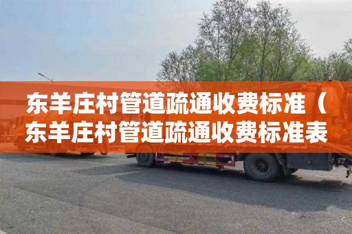 东羊庄村管道疏通收费标准（东羊庄村管道疏通收费标准表）