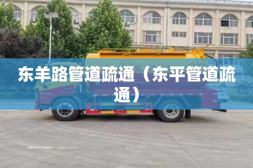 东羊路管道疏通（东平管道疏通）