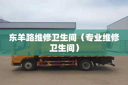 东羊路维修卫生间（专业维修卫生间）