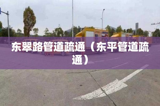 东翠路管道疏通（东平管道疏通）