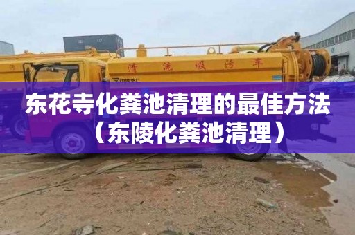 东花寺化粪池清理的最佳方法（东陵化粪池清理）