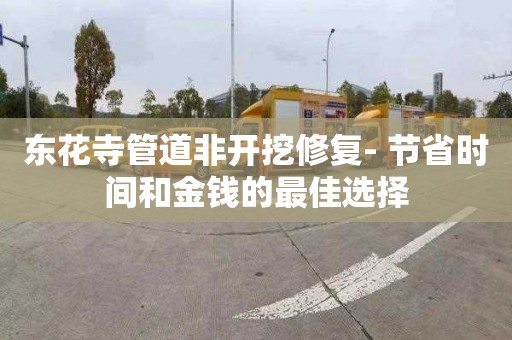 东花寺管道非开挖修复- 节省时间和金钱的最佳选择