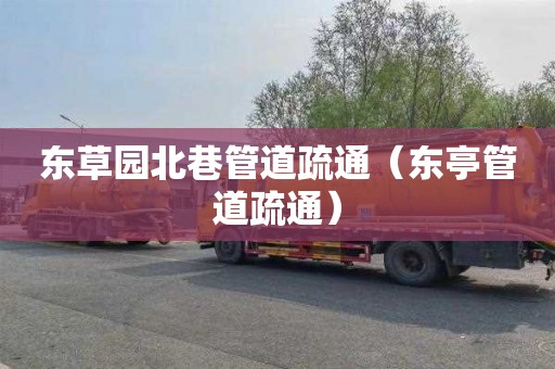 东草园北巷管道疏通（东亭管道疏通）