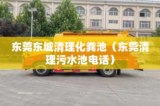 东莞东城清理化粪池（东莞清理污水池电话）