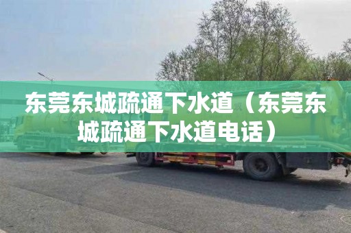 东莞东城疏通下水道（东莞东城疏通下水道电话）