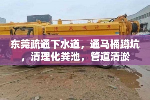 东莞疏通下水道,通马桶蹲坑,清理化粪池,管道清淤 东莞疏通下水道,通马桶蹲坑,清理化粪池,管道清淤
