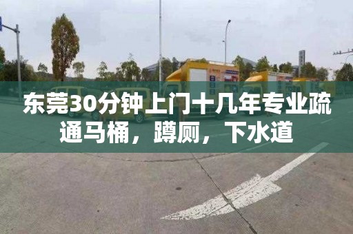 东莞30分钟上门十几年专业疏通马桶,蹲厕,下水道 东莞30分钟上门十几年专业疏通马桶,蹲厕,下水道