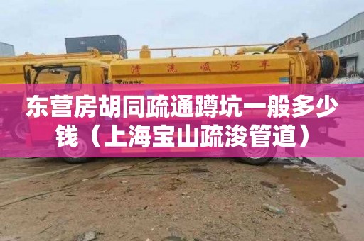 东营房胡同疏通蹲坑一般多少钱（上海宝山疏浚管道）