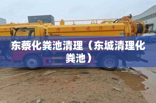 东蔡化粪池清理（东城清理化粪池）