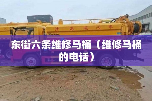 东街六条维修马桶（维修马桶的电话）