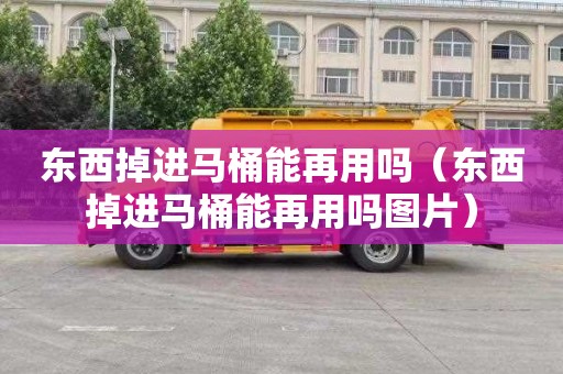 东西掉进马桶能再用吗（东西掉进马桶能再用吗图片）